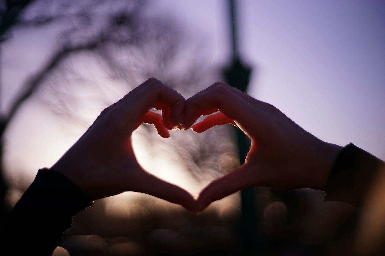 Healing, Growth, and the Path to Healthy Narcissism & Your True Authentic Self